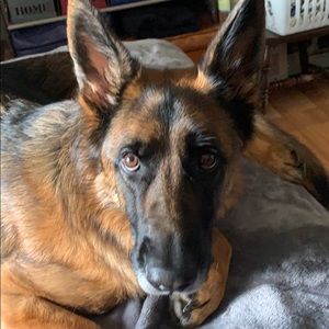 Meet your Posher, Tess